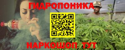 шишки Михайловка