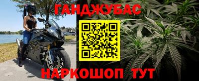 шишки Михайловка