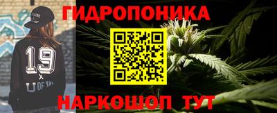 шишки Михайловка