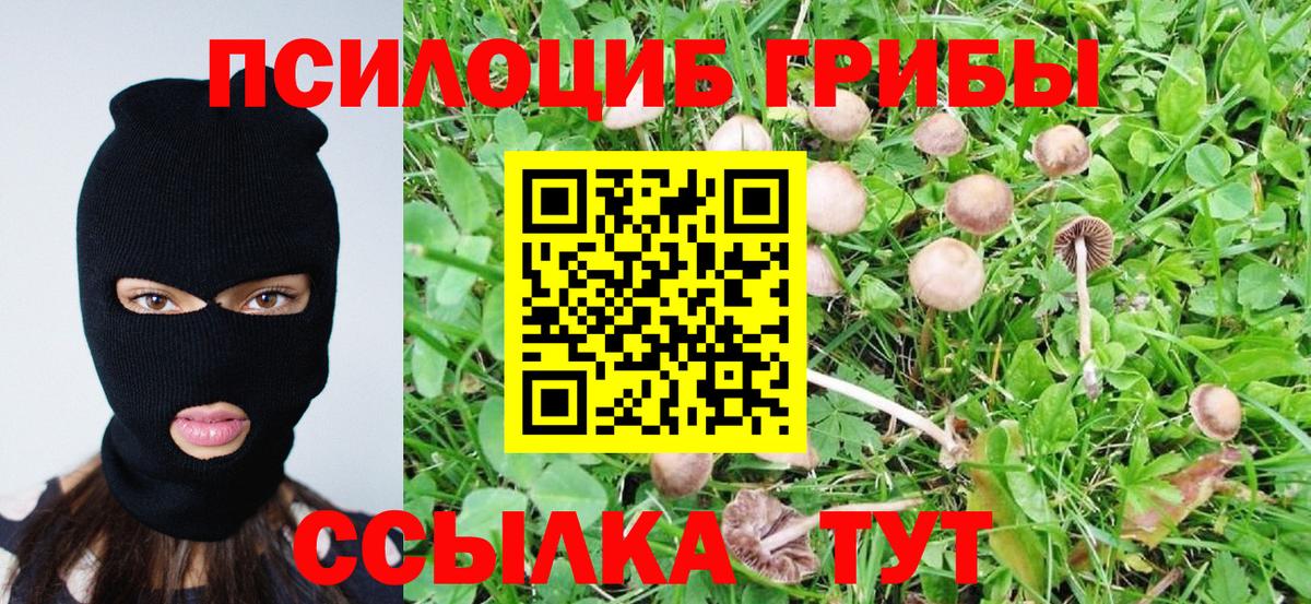 сколько стоит  Псилоцибиновые грибы ЛСД  Псилоцибиновые грибы MAGIC MUSHROOMS  Вход с VPN  Дивногорск 