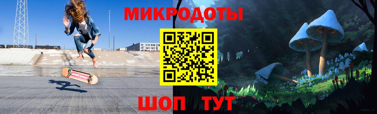 Псилоцибиновые грибы Cubensis Дивногорск